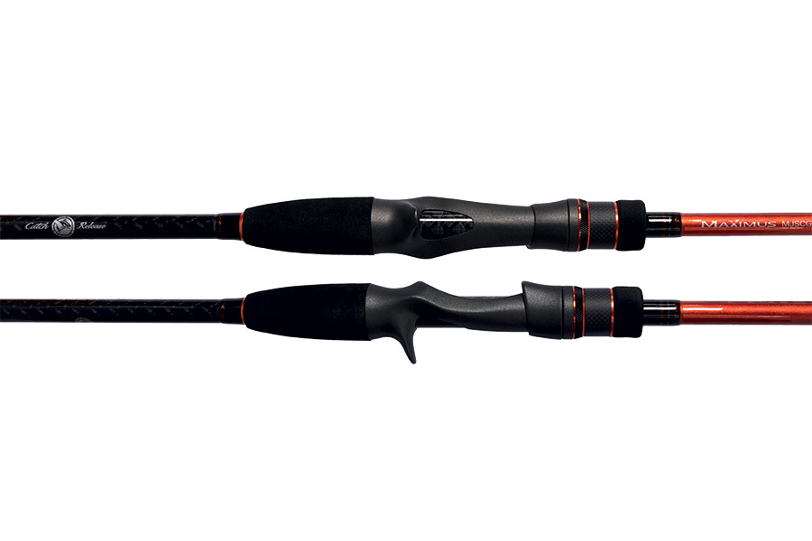 Maximus Gravity C Maximus Gravity C