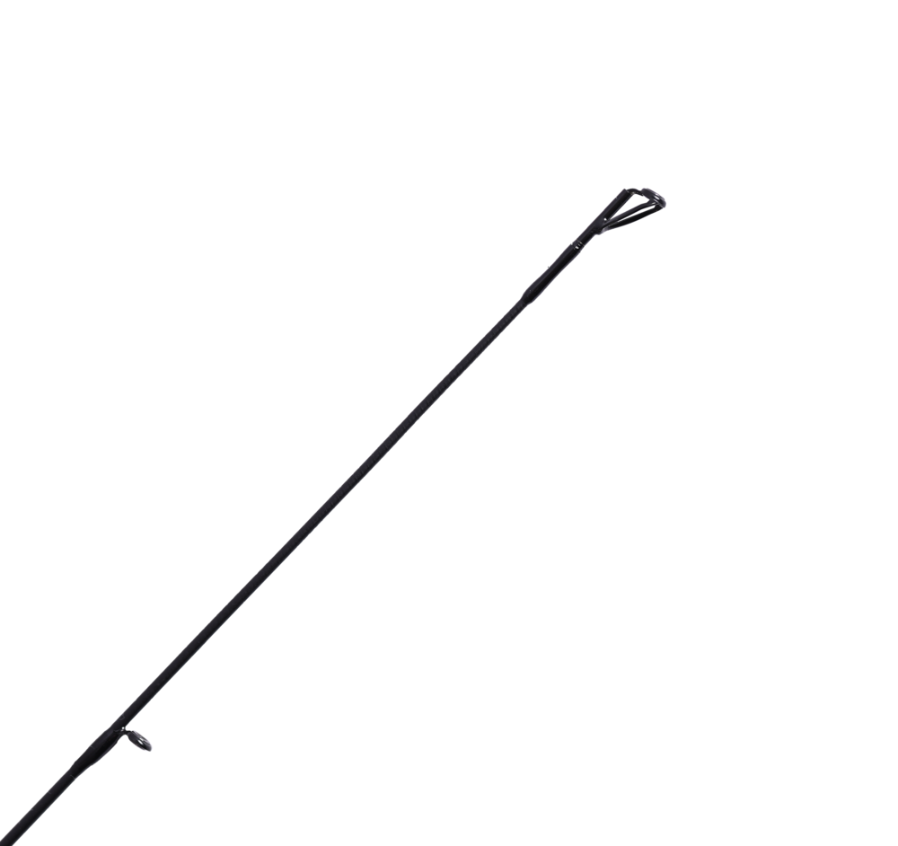 Maximus Indigo Trout