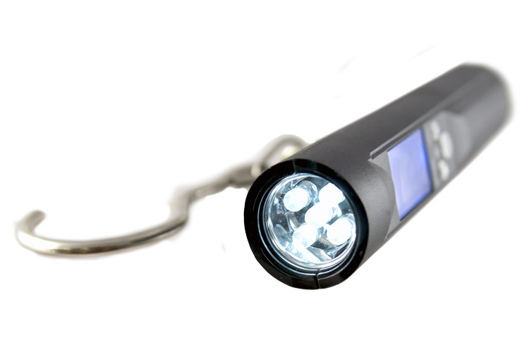 Весы электронные ECOPRO с фонарем