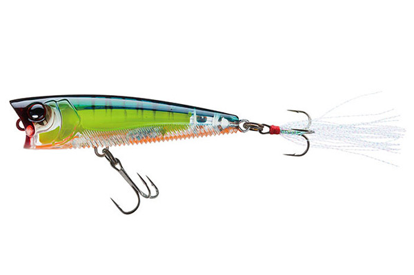 Yo-Zuri R1101 3DB Popper 75F