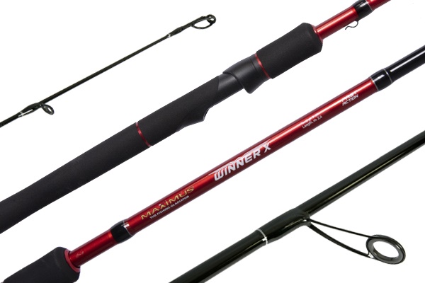 Maximus Winner New-X