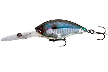 Yo-Zuri R1108 3DB Deep Crank 70F