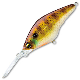 Duel R1186 Hardcore Shad Crank 60F