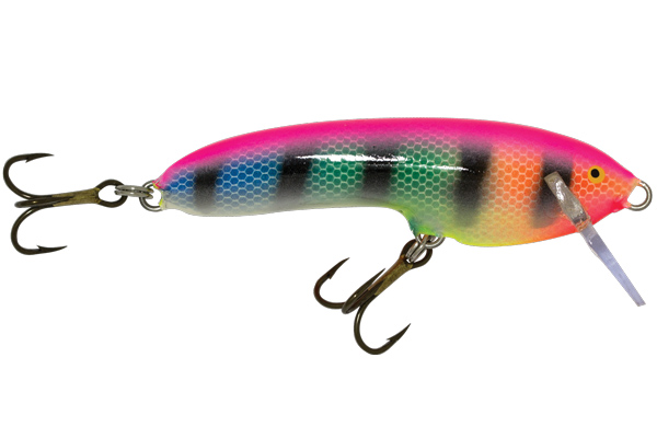 Nils Master Stalwart