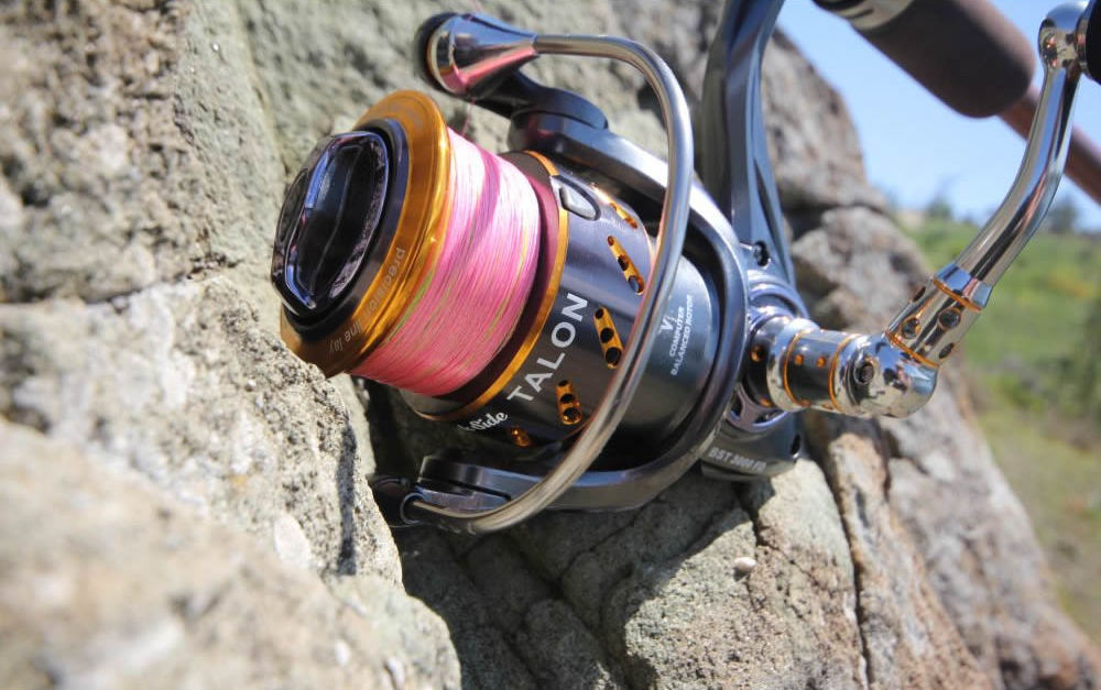 black side talon.jpg