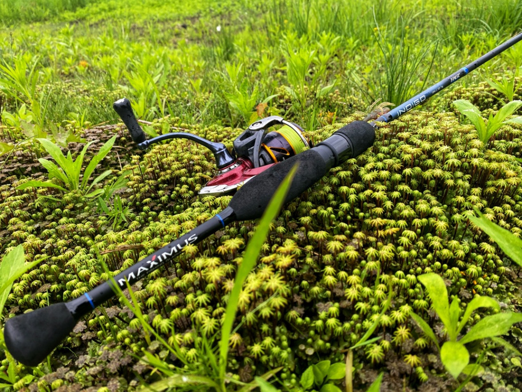 INDIGO Trout.jpg