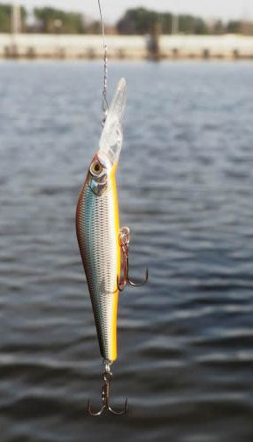 luremax lasandra.jpg