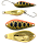 101