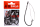 BN