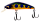 173