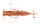 Ebimiso Oil