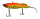 052 Hot Pepper