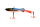 054