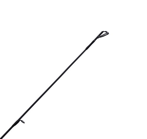 Maximus Indigo Trout