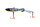 101