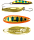 26
