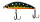 181