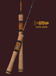    2025-2026