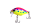092
