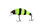 194