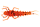 Fire Carrot