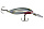 RUS1