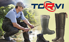 Поступление Torvi