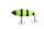 194