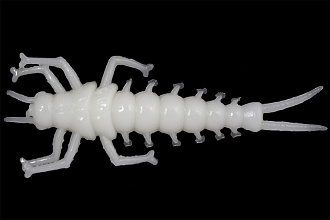 . LureMax STONE FLY  1,5''/4, LSSF15-10-009 White UV (10 .)