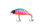 239