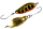 101