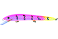 Nils Master Invincible Floating 12cm