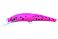 Nils Master Invincible Deep Runner 8cm