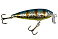 Nils Master Haka Shallow 7cm