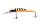 025