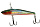 055 Shiny Shad
