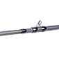  . Maximus ZIRCON-X BBC 25XH 2,5m  50-160g