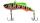 023 Broken Lime