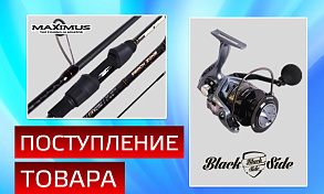 Пополните ассортимент с поставкой снастей брендов «Black Side» и «MAXIMUS»
