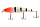 254