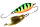 78