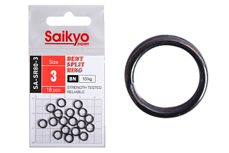   Saikyo SA-SR80-3 18 (10)
