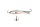 18 glo