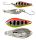 43