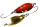 44