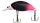 151