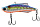 055 Shiny Shad