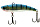 082 Blue Stripper