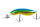 H80