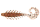 Ebimiso Oil